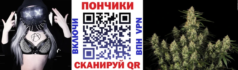 Бошки Шишки Amnesia Вичуга